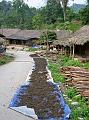 2006-10-30-09-17-51_289 Tea drying in road